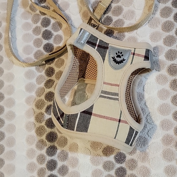 Cat leash - Picture 2 of 8